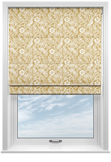 Cadogan, Gold - Roman Blind
